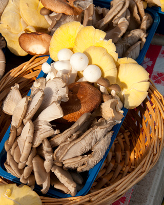 Mushrooms, Dupont Market
