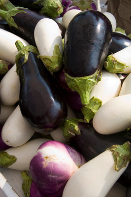 Eggplant, Dupont Market