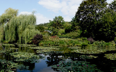 Giverny Lily Pond 1