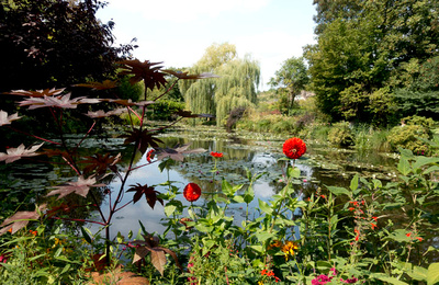 Giverny Lily Pond and Flowers