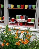 Cups and Flowers, Mendocino