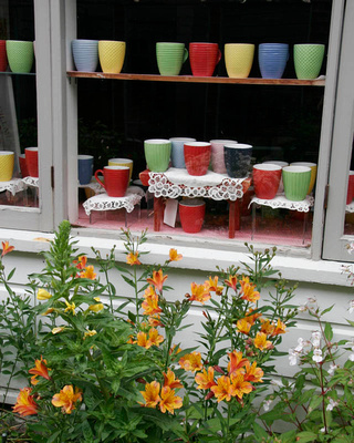 Cups and Flowers, Mendocino