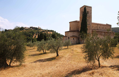 Sant'Antimo With Olive Trees