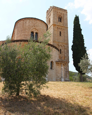 Sant'Antimo Apse and Tower with Olive and Cypress Trees #1