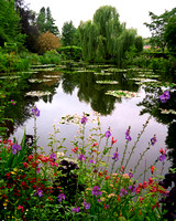 Giverny in Summer #1