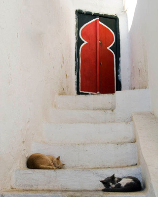 Red Door, Tunisia