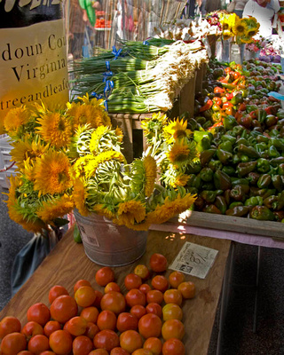 Flowers, Fruit, and Vegetables, Du Pont Market